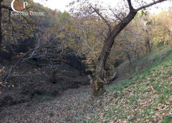 Foto 27 - Rustico località Spaliena
 
10, San Godenzo - foto 27