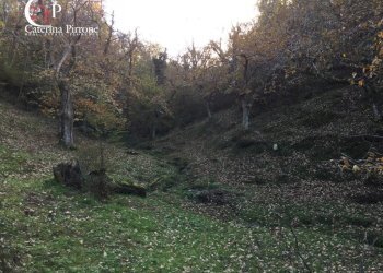 Foto 29 - Rustico località Spaliena
 
10, San Godenzo - foto 29