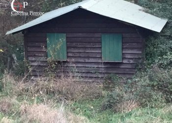 Foto 33 - Rustico località Spaliena
 
10, San Godenzo - foto 33