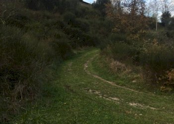 Foto 34 - Rustico località Spaliena
 
10, San Godenzo - foto 34