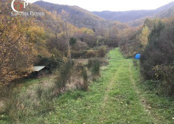 Foto 35 - Rustico località Spaliena
 
10, San Godenzo - foto 35