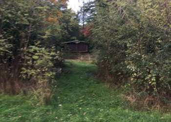 Foto 36 - Rustico località Spaliena
 
10, San Godenzo - foto 36