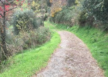 Foto 38 - Rustico località Spaliena
 
10, San Godenzo - foto 38