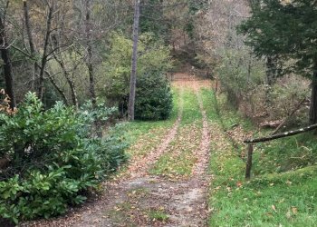 Foto 40 - Rustico località Spaliena
 
10, San Godenzo - foto 40