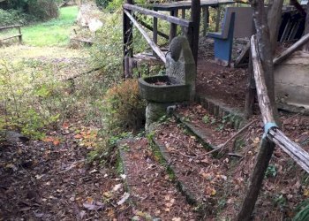 Foto 42 - Rustico località Spaliena
 
10, San Godenzo - foto 42