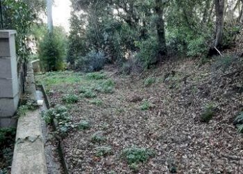 Foto 11 - Trilocale via Fontanella
 
2, Castagneto Carducci - foto 11