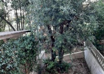 Foto 13 - Trilocale via Fontanella
 
2, Castagneto Carducci - foto 13