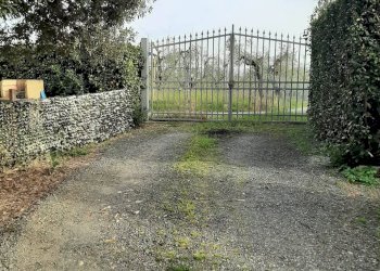 Foto 6 - Rustico viale Italia
 
112, Rosignano Marittimo - foto 6