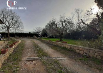 Foto 7 - Rustico viale Italia
 
112, Rosignano Marittimo - foto 7