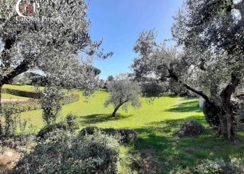 Foto 7 - Independent house via Metauro
 
10, Cecina - photo 7