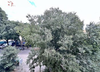 Foto 4 - Trilocale viale Fanti
 
29, Firenze - foto 4