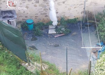 Foto 25 - Casa indipendente località Turicchi
 
10, Rufina - foto 25