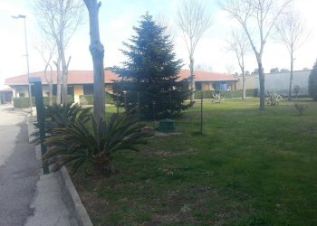 Foto 6 - Monolocale Via Madonna del Pantano
 
1, Giugliano in Campania - foto 6