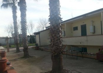 Foto 20 - Monolocale Via Madonna del Pantano
 
1, Giugliano in Campania - foto 20