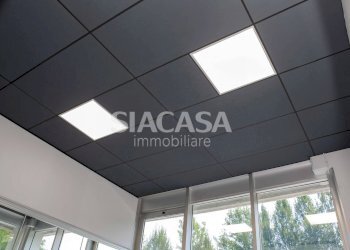 Foto 20 - Shed Erba - photo 20