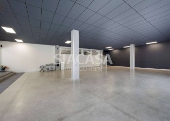 Foto 22 - Shed Erba - photo 22