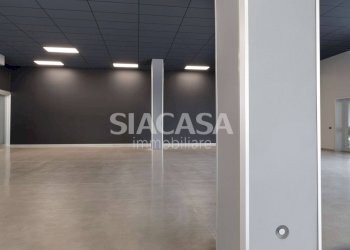 Foto 25 - Shed Erba - photo 25