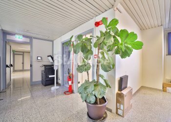 Foto 19 - Office Mezzago - photo 19