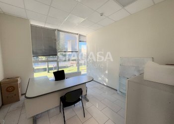 Foto 1 - Shed Mezzago - photo 1