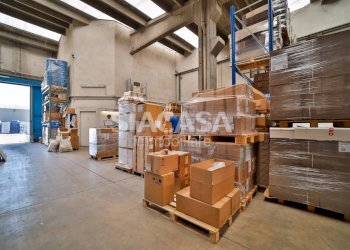 Foto 8 - Capannone Segrate, Segrate - foto 8