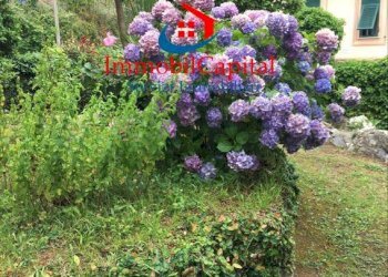Foto 42 - Appartamento Via Belvedere, Santa Margherita Ligure - foto 42