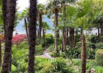 Foto 25 - Villa Via Roma
 
2, Tavernola Bergamasca - foto 25