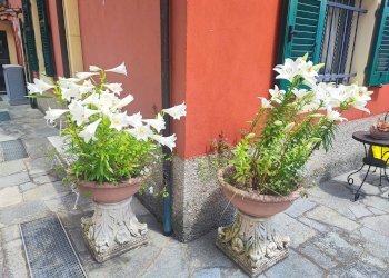 Foto 12 - Appartamento via crosa dell'oro, Santa Margherita Ligure - foto 12