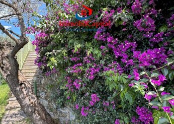 Foto 43 - Villa Via Franco Molfino, Camogli - foto 43