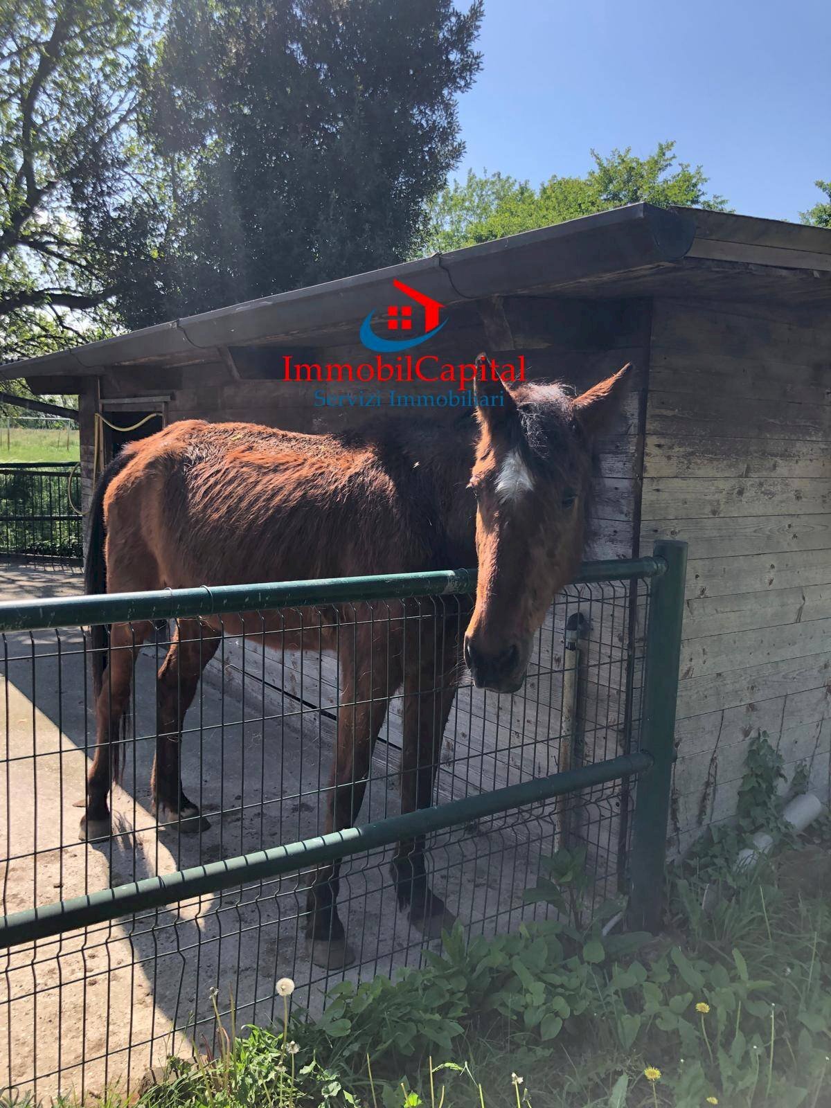 Foto 3 - Rustico Via Genova, Soresina - foto 3