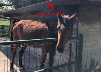 Foto 3 - Rustico Via Genova, Soresina - foto 3