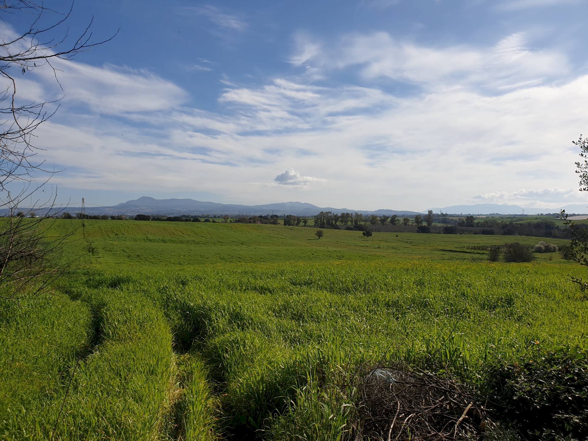 Foto 2 - Agricultural land Via delle vittorie
1, Pomezia - photo 2