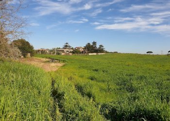 Foto 3 - Agricultural land Via delle vittorie
 
1, Pomezia - photo 3