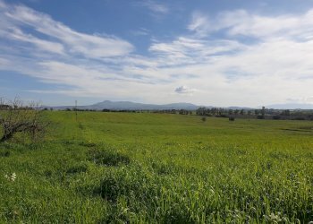 Foto 4 - Agricultural land Via delle vittorie
 
1, Pomezia - photo 4