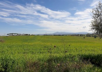 Foto 6 - Agricultural land Via delle vittorie
 
1, Pomezia - photo 6