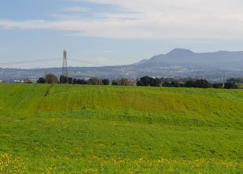 Foto 9 - Agricultural land Via delle vittorie
 
1, Pomezia - photo 9