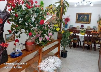 Foto 7 - Casa indipendente Via del Sole Vico IV
 
5, Tavenna - foto 7