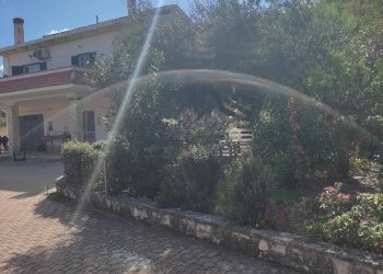 Foto 3 - Villa Contrada Santa Lucia
 
1, Mafalda - foto 3