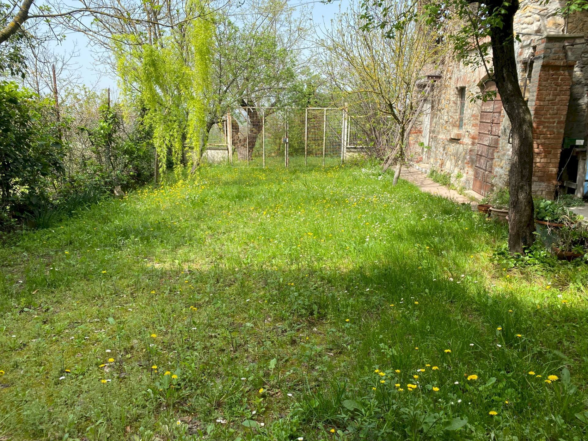 GIARDINO - Rustico Casalnoceto - foto 2