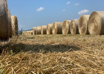 VARIE - Rustico Casalnoceto - foto 14