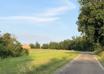 LA ZONA - Rustico Casalnoceto - foto 15