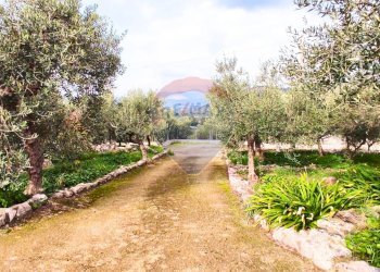 Foto 2 - Independent house Via Cotinole
 
snc, Sonnino - photo 2