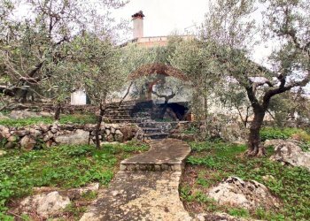 Foto 5 - Independent house Via Cotinole
 
snc, Sonnino - photo 5