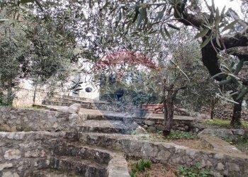 Foto 17 - Independent house Via Cotinole
 
snc, Sonnino - photo 17