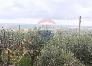 Foto 20 - Independent house Via Cotinole
 
snc, Sonnino - photo 20