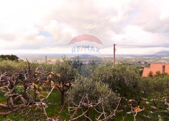 Foto 21 - Independent house Via Cotinole
 
snc, Sonnino - photo 21