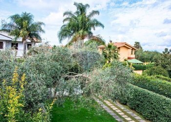 Foto 21 - Semi-detached house Via dell'Ariete
 
22/24, Sabaudia - photo 21