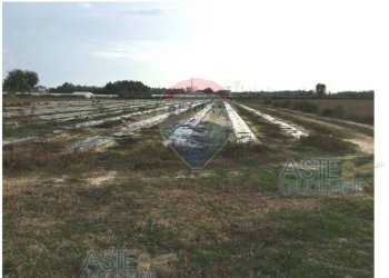 Foto 20 - Apartment Strada statale 148 Pontina KM 82
 
snc, Sabaudia - photo 20