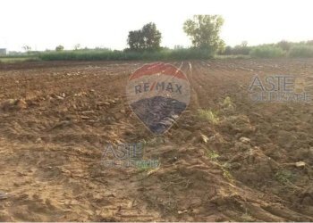 Foto 21 - Apartment Strada statale 148 Pontina KM 82
 
snc, Sabaudia - photo 21