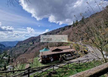 Foto 6 - Locale Commerciale Via Trescolli
 
1546, Camaiore - foto 6