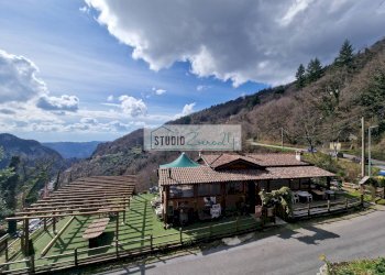 Foto 7 - Locale Commerciale Via Trescolli
 
1546, Camaiore - foto 7